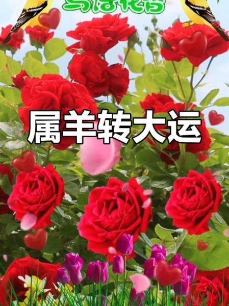 2027年属羊运势_属羊人2027年财运如何