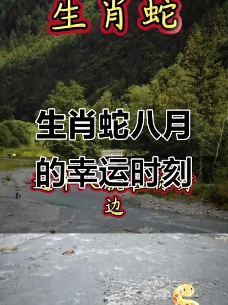 属蛇人8月运势如何_属蛇人8月财运怎么样