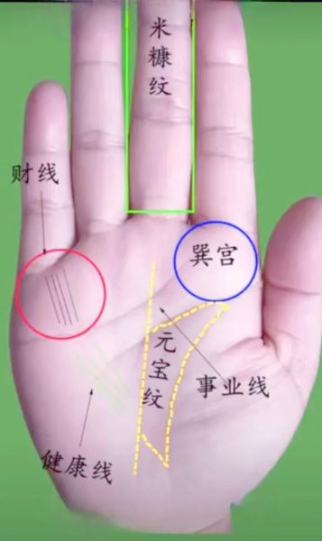 财运线走向小指_手相图解怎么看