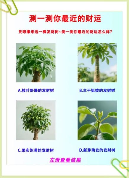 2019测财运准吗_2019财运测试方法