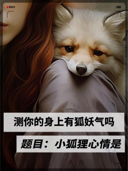 梦到喂狐狸是什么意思_梦到喂狐狸吉凶解析
