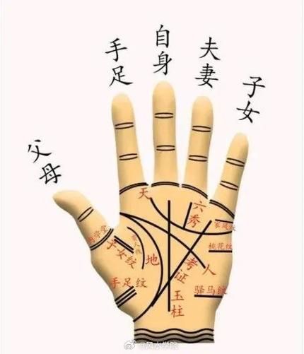 财运长短怎么看_财运长短怎么算