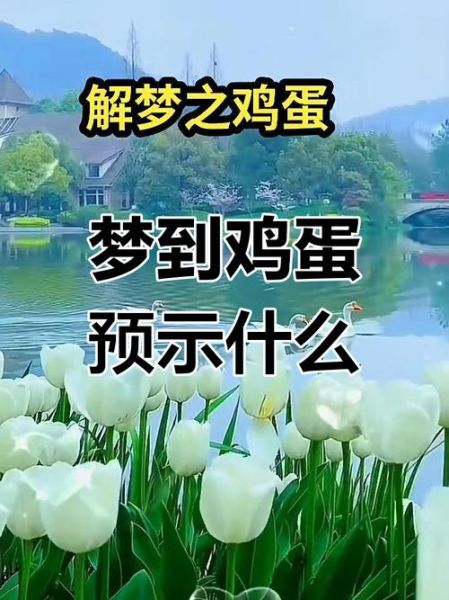 梦到买鸡蛋是什么意思_梦见买鸡蛋预示什么