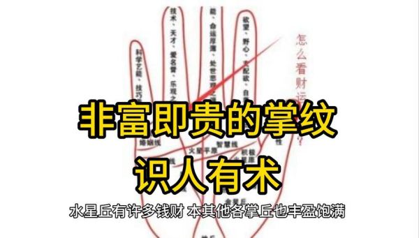 男生虎口大财运_如何看手相