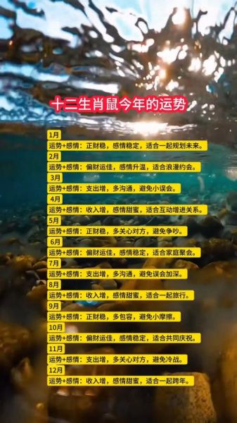 老鼠属相年龄对照表_属鼠今年几岁