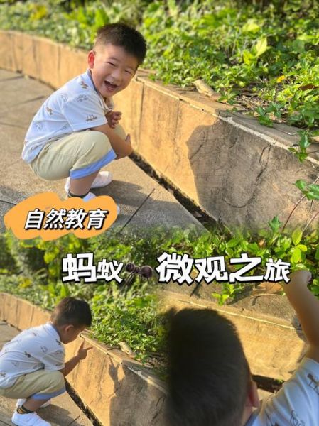 蚂蚁运势怎么看_蚂蚁运势准吗
