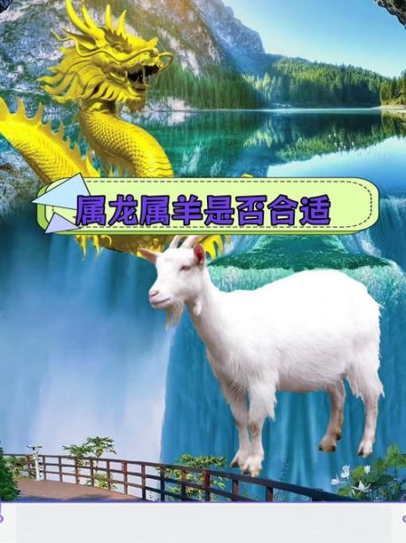 羊和龙属相合不合财_羊龙财运如何