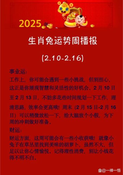 属兔人2024年运势如何_属兔今年财运怎么样