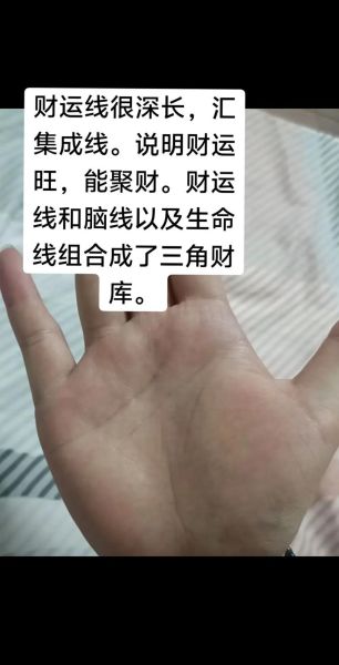 财运线深代表什么_财运线深就一定有钱吗