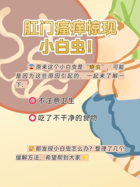 梦到屁眼里有虫子_是什么预兆