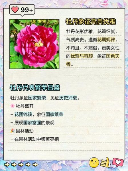 孕妇梦到牡丹花是什么意思_胎梦预示男女准吗