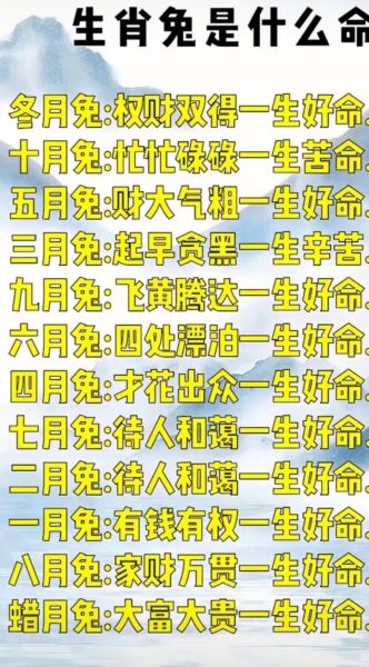 肖兔2016年运势详解_肖兔2016年财运如何