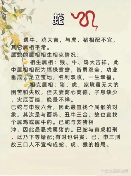 父母属牛属马生什么宝宝好_属牛与属马夫妻育儿宜忌