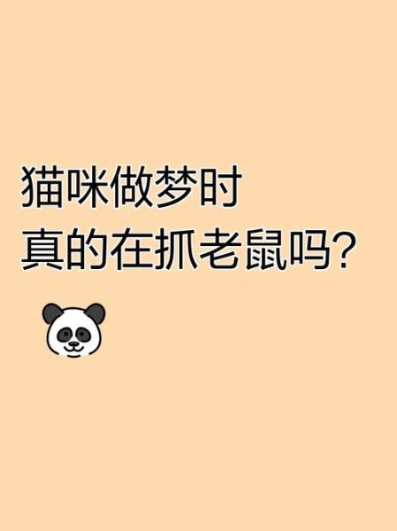 梦到抓猫是什么意思_梦见抓猫是吉是凶