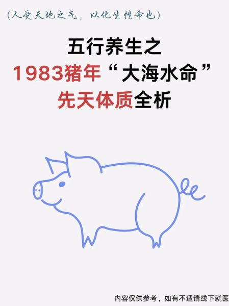 大海水命财运如何_大海水命适合做什么生意