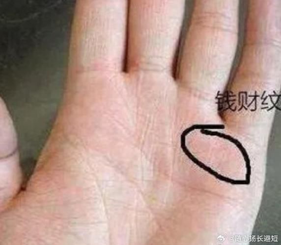 男人手小财运好吗_手小真的影响财富吗