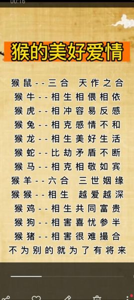 属猴和什么属相不合_猴与虎猪相冲吗
