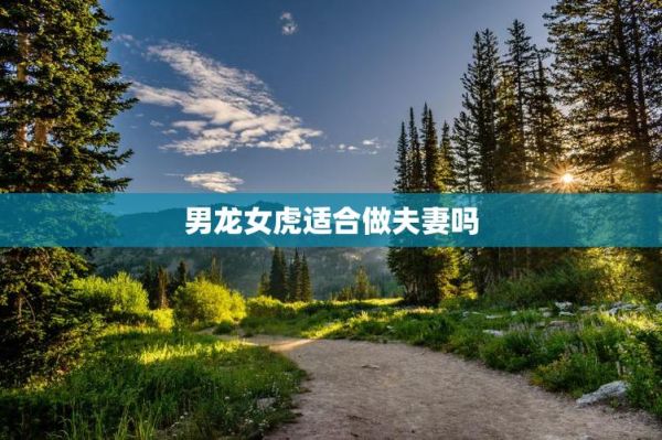 龙女虎男相配吗_龙女虎男婚姻运势如何