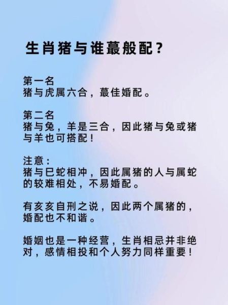 属牛和属猪合不合财运_属牛属猪做生意能赚钱吗