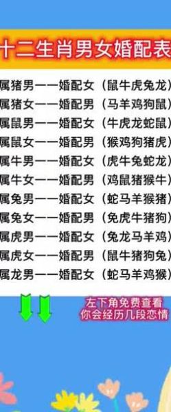 怎么看配偶属相_配偶属相不合怎么办