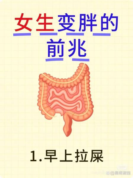 梦到变胖是什么意思_如何科学解梦