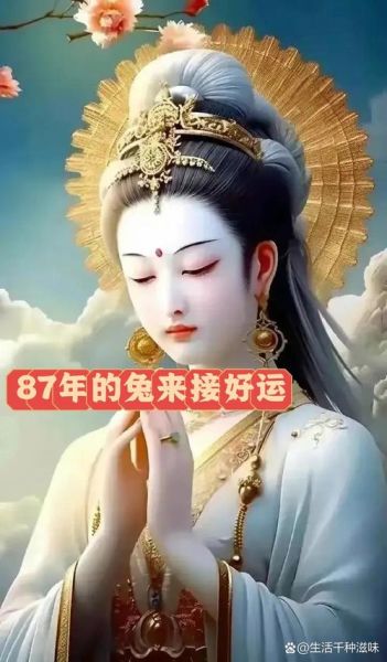1987年属兔2015年运势如何_2015年87年兔财运怎么样