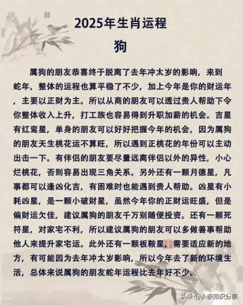 2025年属什么生肖_本命年运势如何