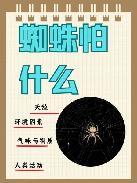 梦到很多蜘蛛是什么意思_如何化解