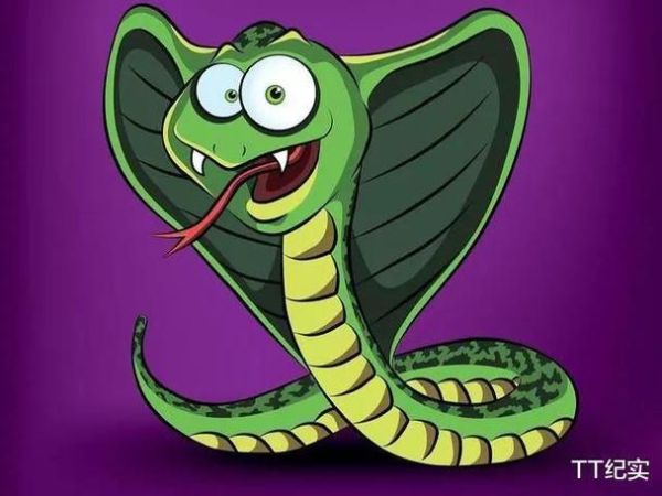 孕妇梦见紫色的蛇是什么意思_孕妇梦见蛇是生男生女