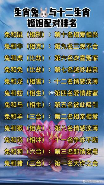 龙兔属相婚配好吗_龙兔相冲怎么化解