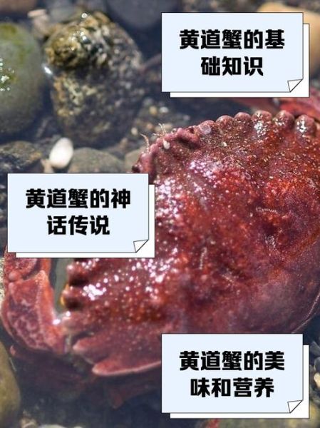 梦到螃蟹是什么意思_周公解梦梦见螃蟹