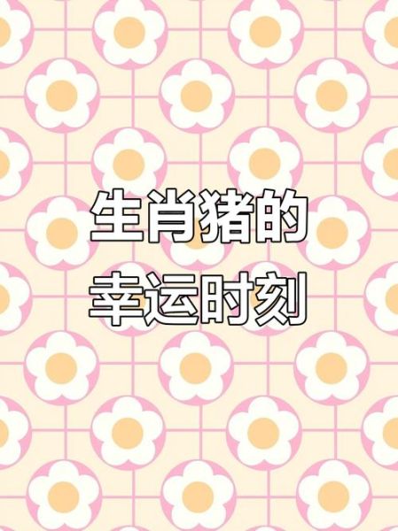 2019属猪运势详解_属猪人2019年财运如何