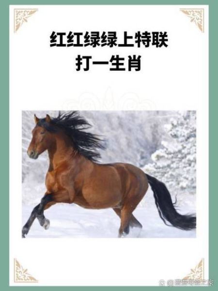 属马今年偏财运怎么样_如何提升
