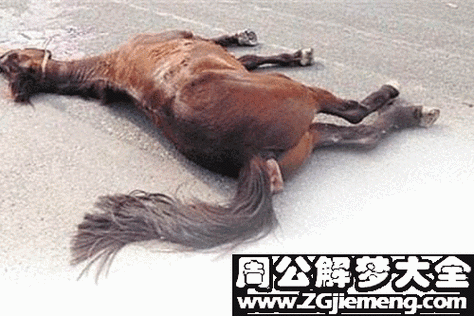 梦到马摔了是什么意思_梦见马摔倒预示什么