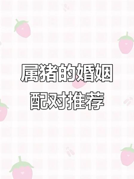 猪属相和什么属相合_猪婚配最佳属相有哪些