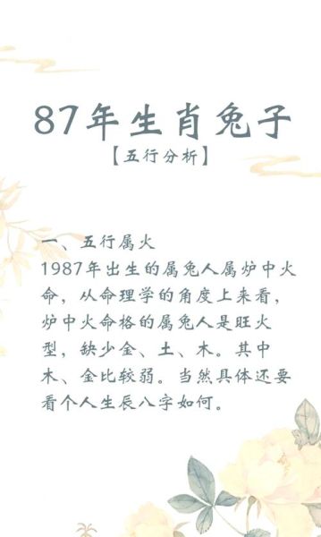 87年属兔是什么命_87年属兔2025运势如何