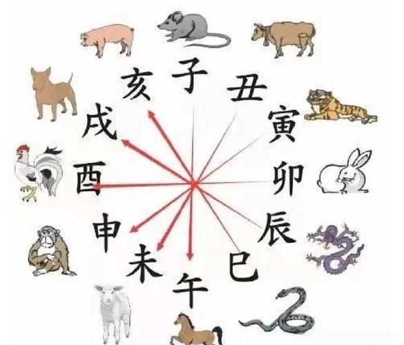 虎爸爸兔宝宝合不合_如何化解相冲