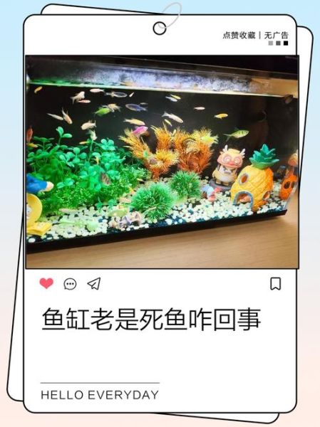 梦到鱼缸和鱼是什么意思_鱼缸里鱼死了预示什么