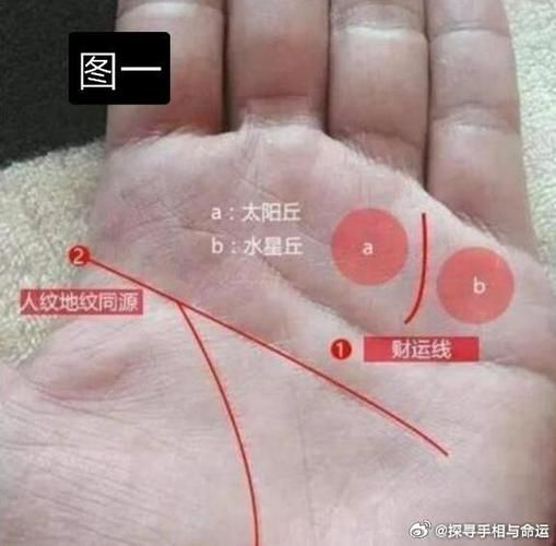 财运线中间断了_还能补救吗
