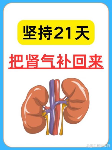梦到换肾是什么意思_梦到换肾预示什么