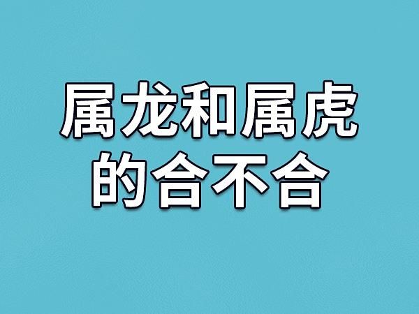 属龙和属虎合不合_属龙和属虎能结婚吗