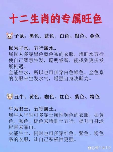老鼠上升属相是什么_老鼠上升星座怎么看