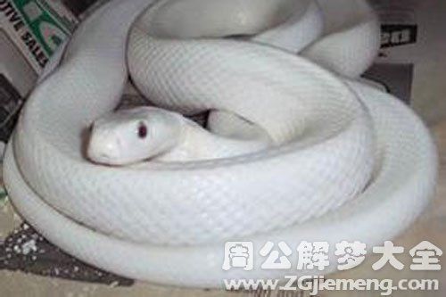 梦到头被砍下来_周公解梦可信吗