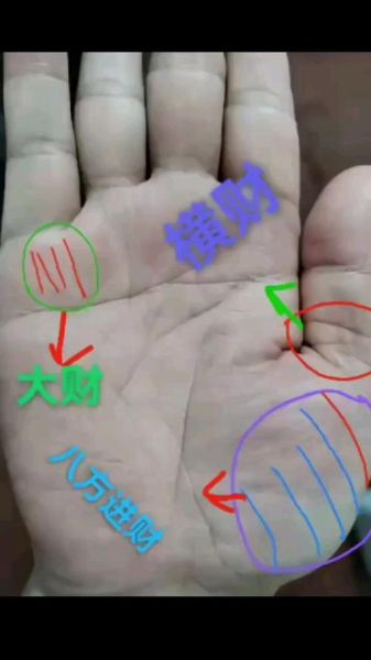 财运纹2条_代表什么