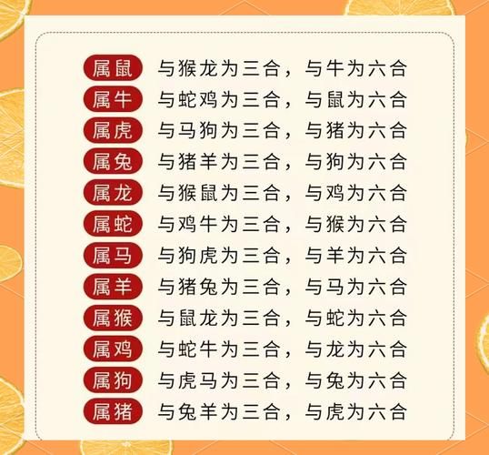 马三合属相不合属相_马和哪些生肖相冲