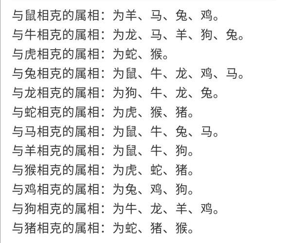男兔女狗属相配对财运_男兔女狗合财吗