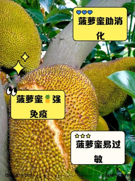 梦到菠萝蜜是什么意思_菠萝蜜梦境解析