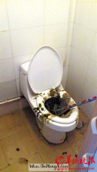 梦到捡屎是什么意思_梦见捡屎预示什么