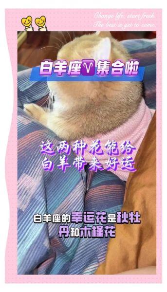 2016属牛白羊座运势详解_如何转运提升财运