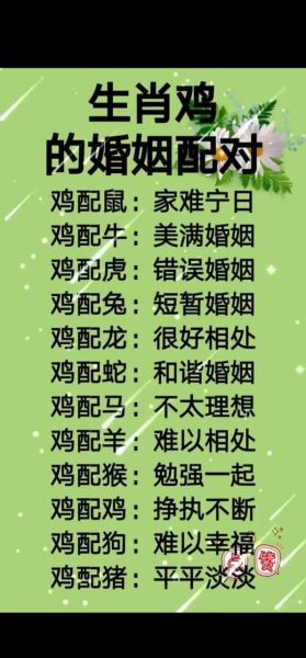 鸡和猪属相和吗_鸡猪配对婚姻财运如何